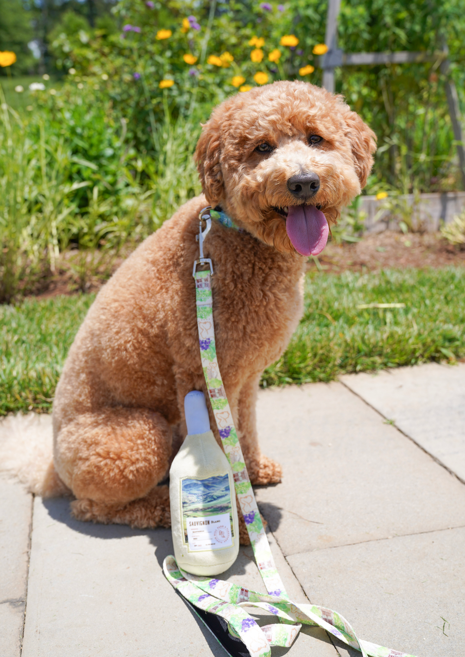 Dog with a Pippin Hill Branded tan leash on. Wine bottle dog toy sitting up against the dog. Floral background