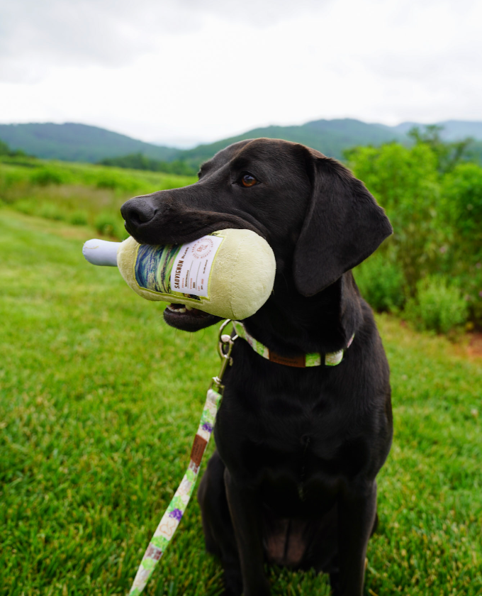 Pippin Hill Sauvignon Blanc Bottle Dog Toy in the mouth of a black dog with mountains in the background.